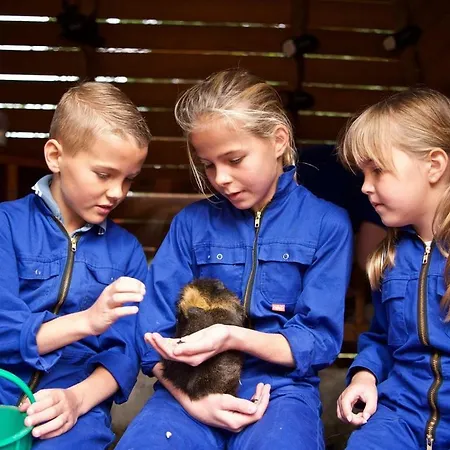 Landal Miggelenberg Hoenderloo