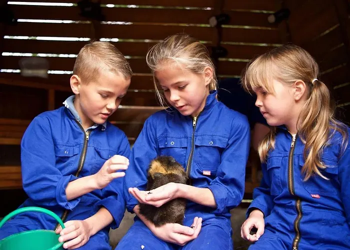 Landal Miggelenberg Hoenderloo